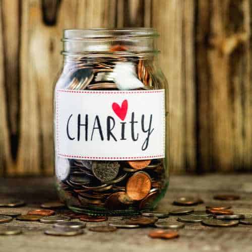 Choose the Right Charity Little Haven